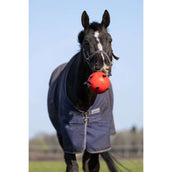 Maximus Pelota Fun Play Verde