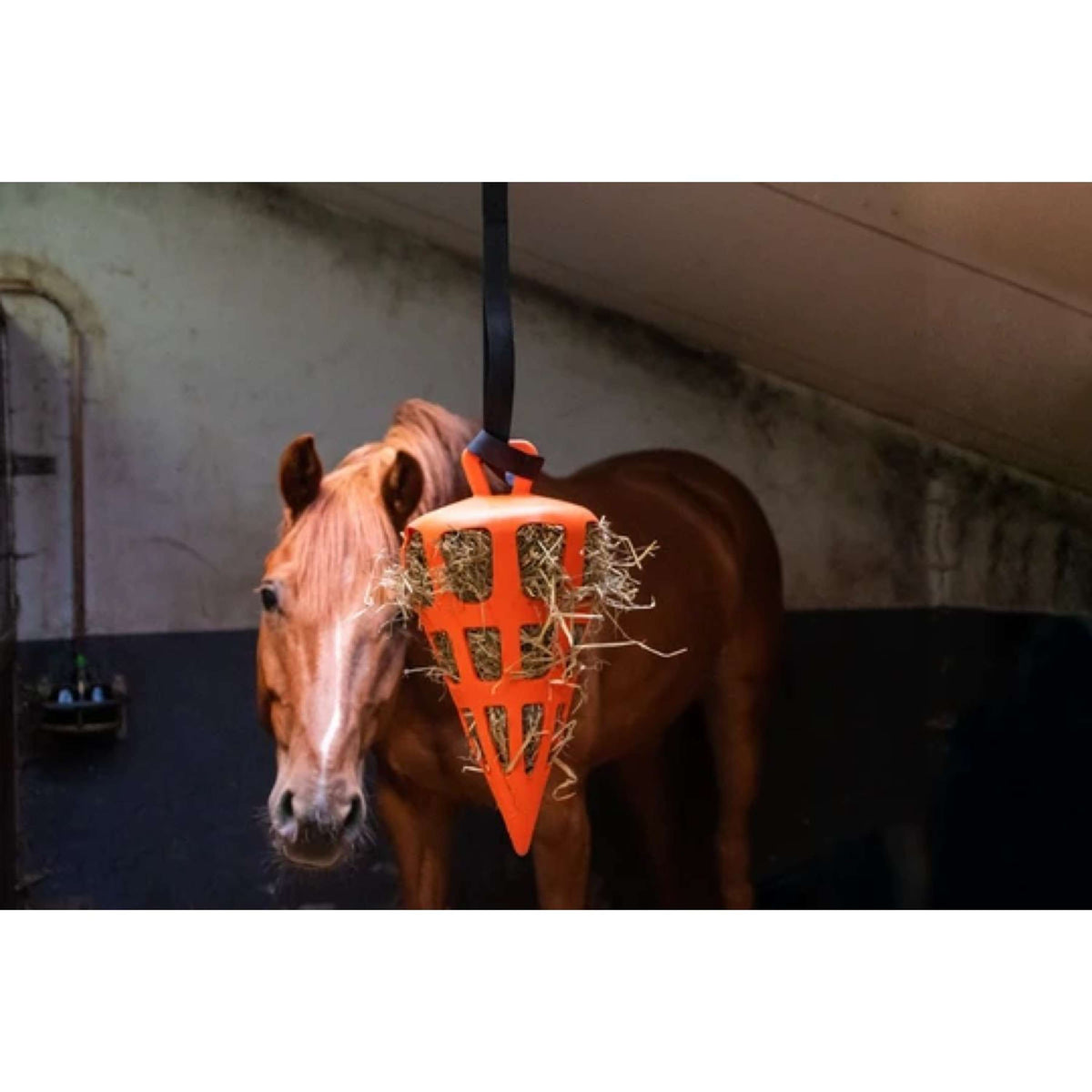 Excellent Slowfeeder Fun and Flex Zanahoria Naranja