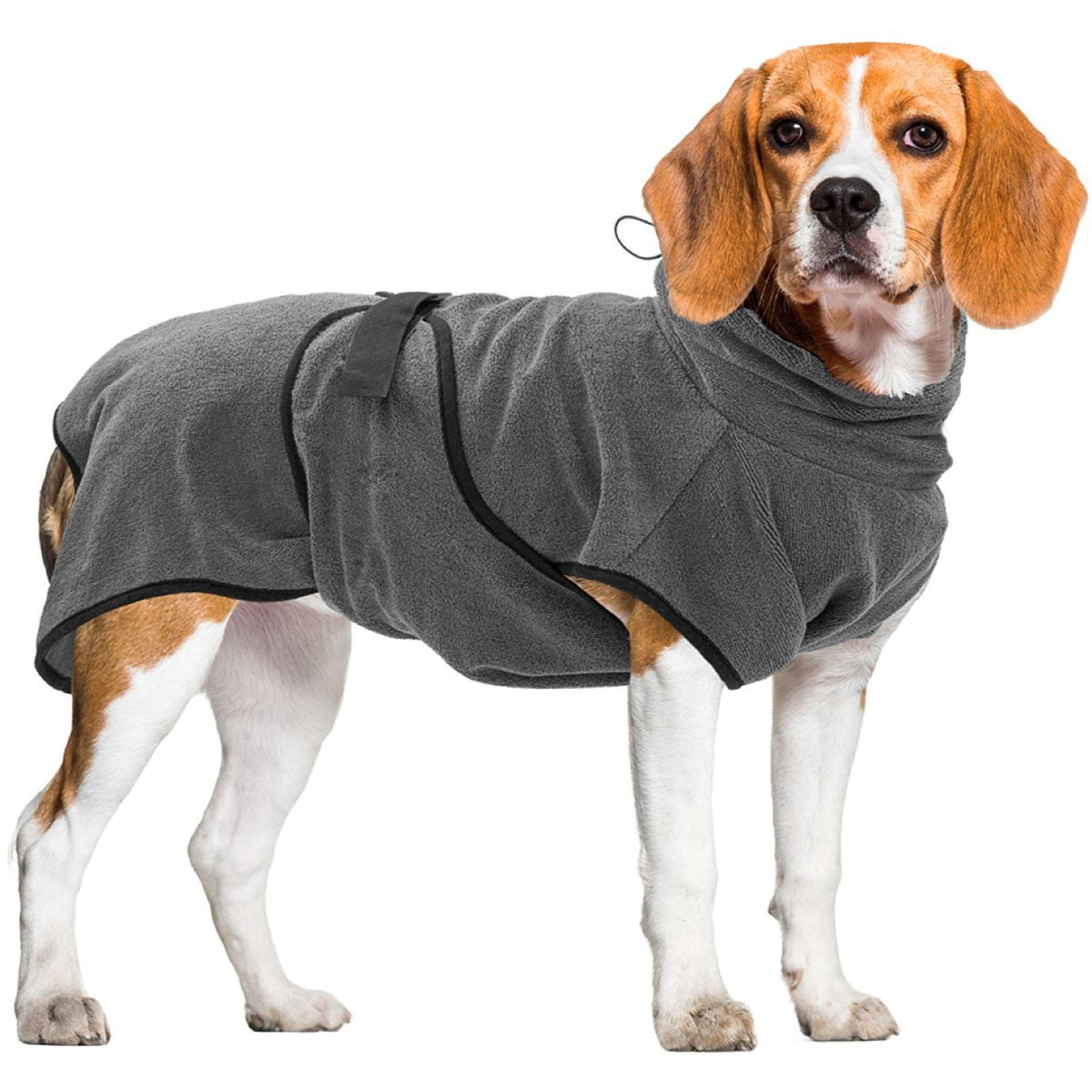 Royal Dry Bata para Perros