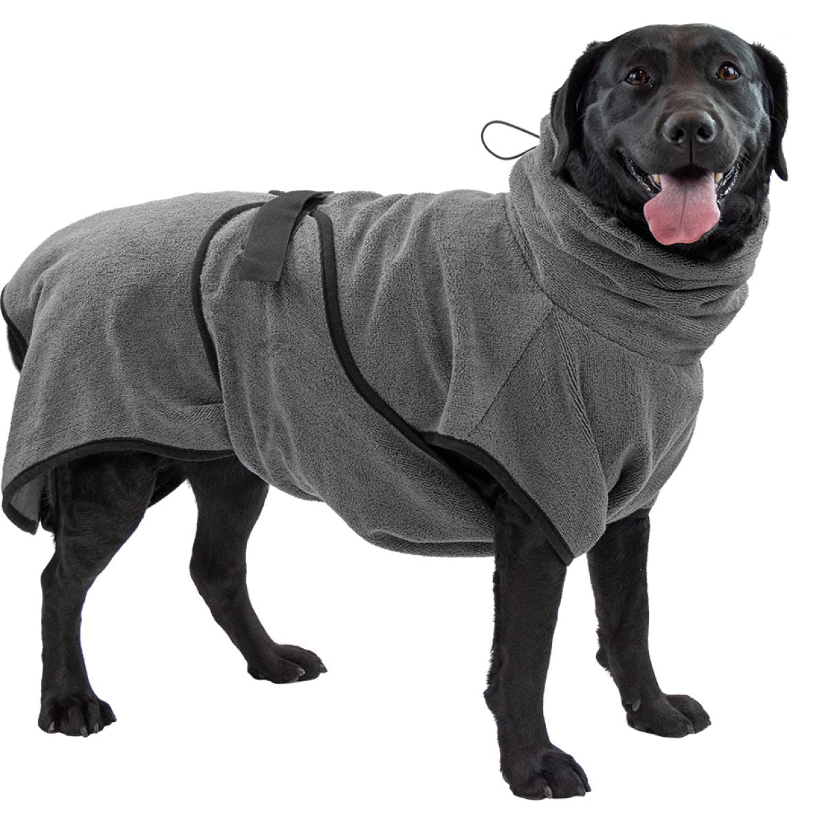 Royal Dry Bata para Perros