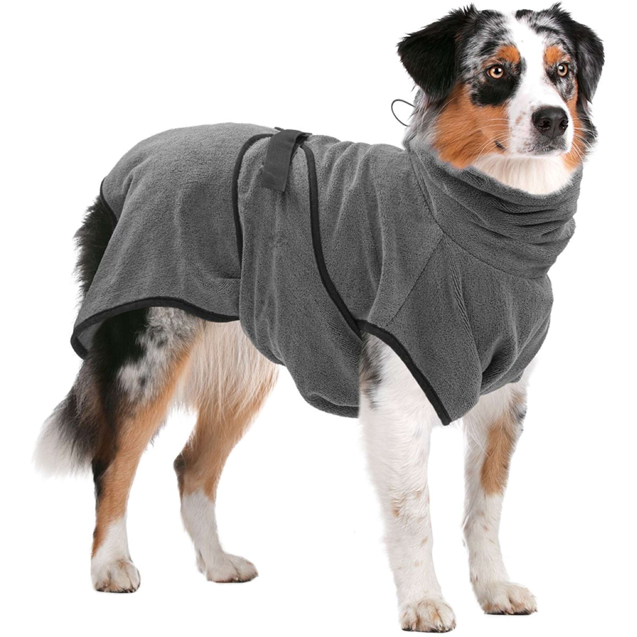 Royal Dry Bata para Perros