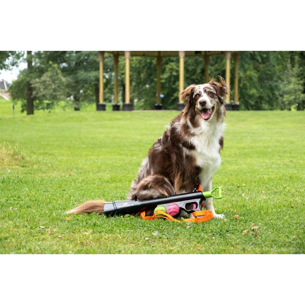 Dog Comets Lanzador Comet