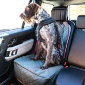 KONG Cinturón de seguridad para perro/gato Swivel Tether Negro