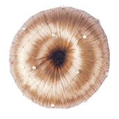 HORKA Red para el cabello Pearl Marron