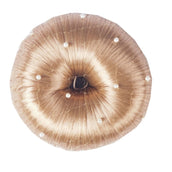 HORKA Red para el cabello Pearl Blond