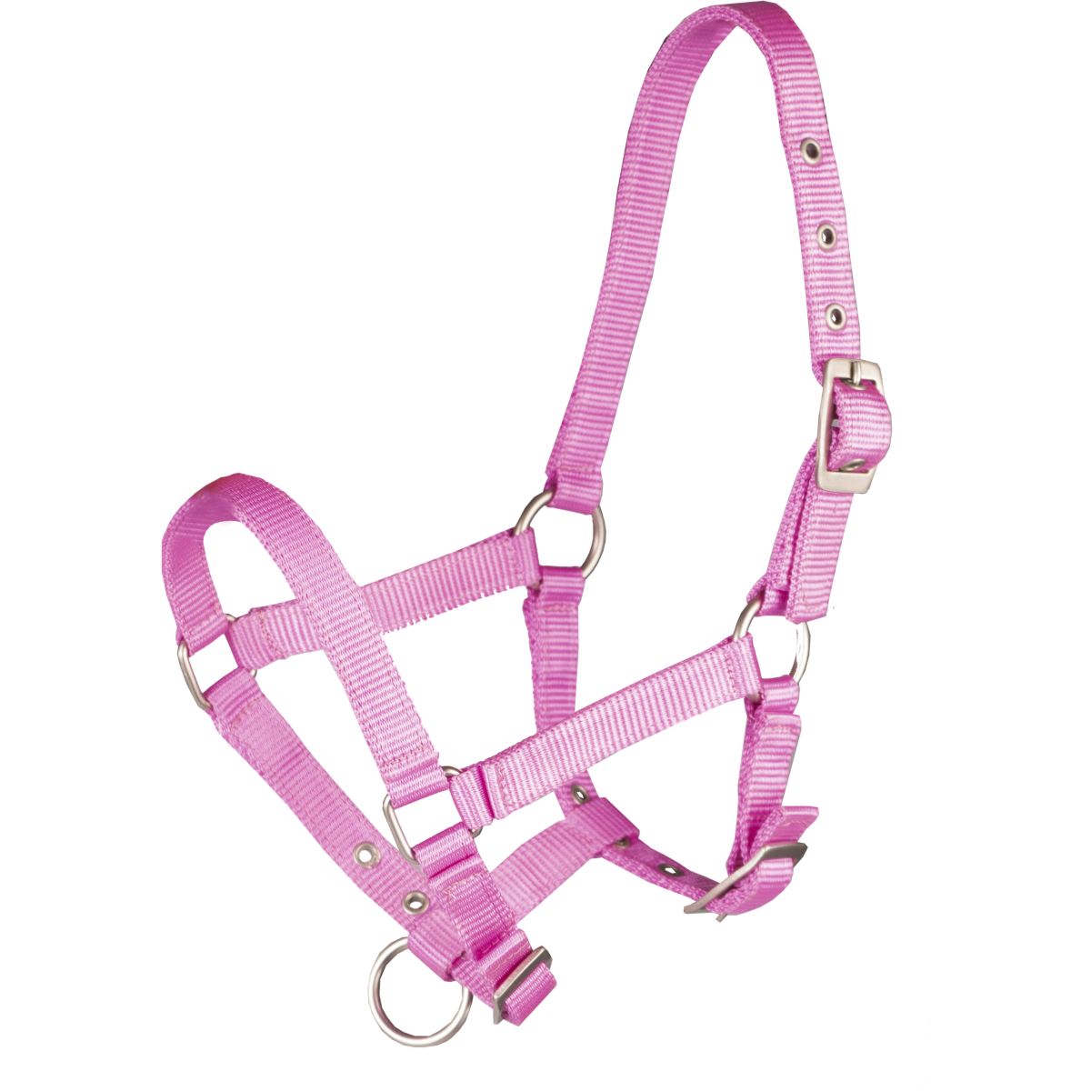 HORKA Cabezada Basic Potro Hot Pink
