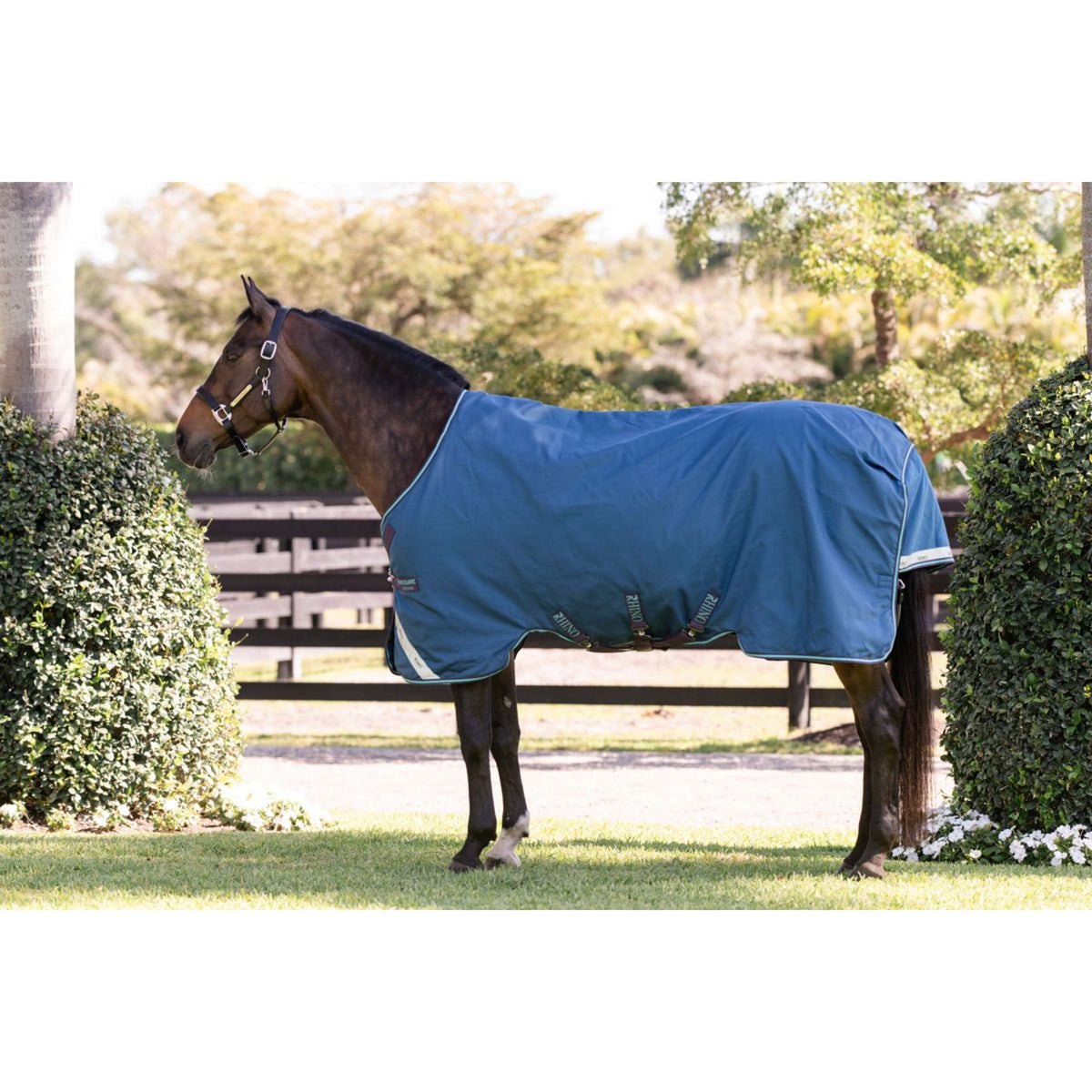 Rhino Turnout 100g Marino/Gris/Aqua/Gris