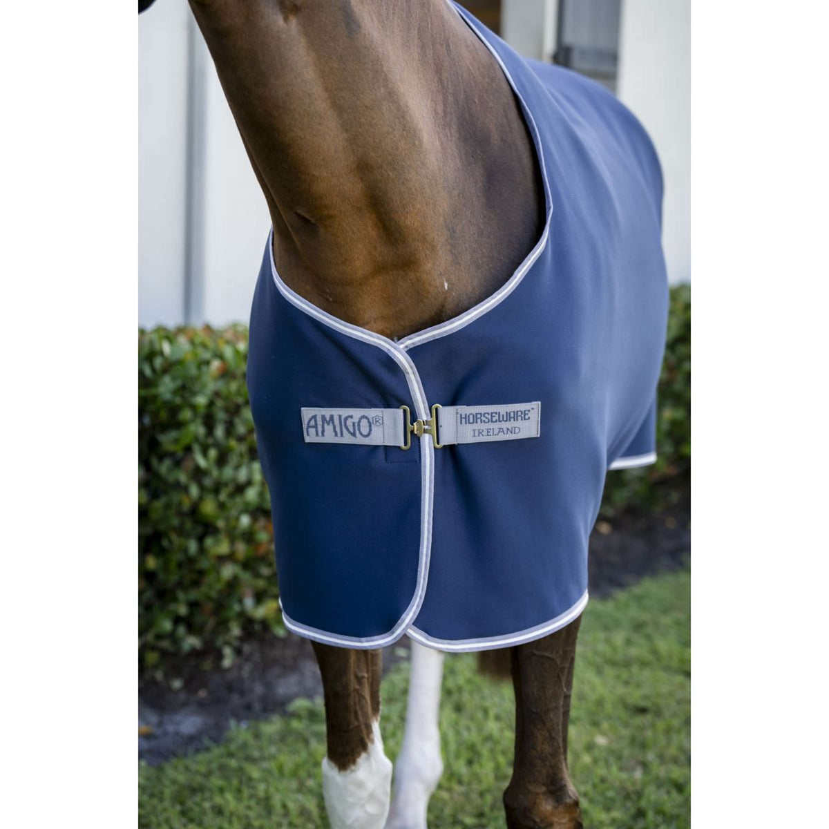 Amigo Jersey Cooler Pony Marino/Gris Titanio/Plateado