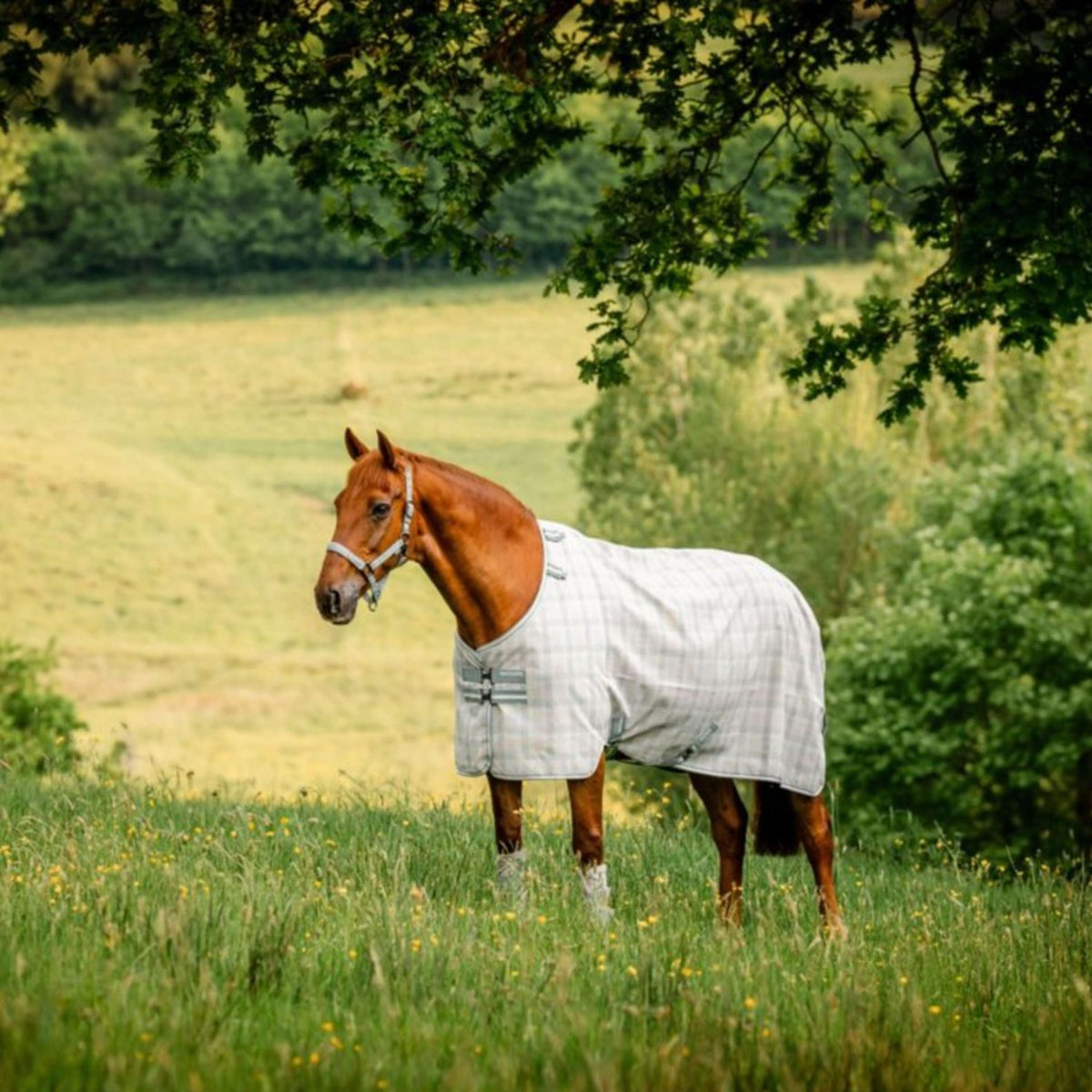 Horseware Manta Antimoscas Newmarket Witney Charcoal