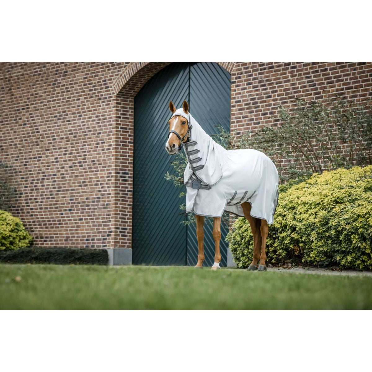 Amigo Ripstop Hoody Ripstop Plata/Gris Titanio/Plata