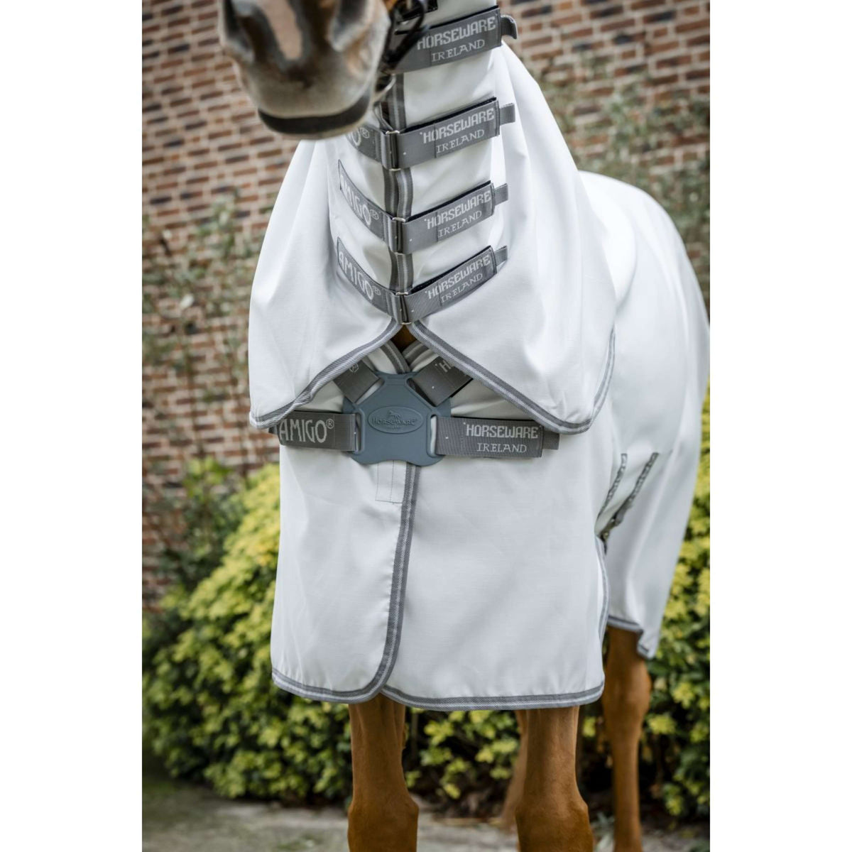 Amigo Ripstop Hoody Ripstop Plata/Gris Titanio/Plata