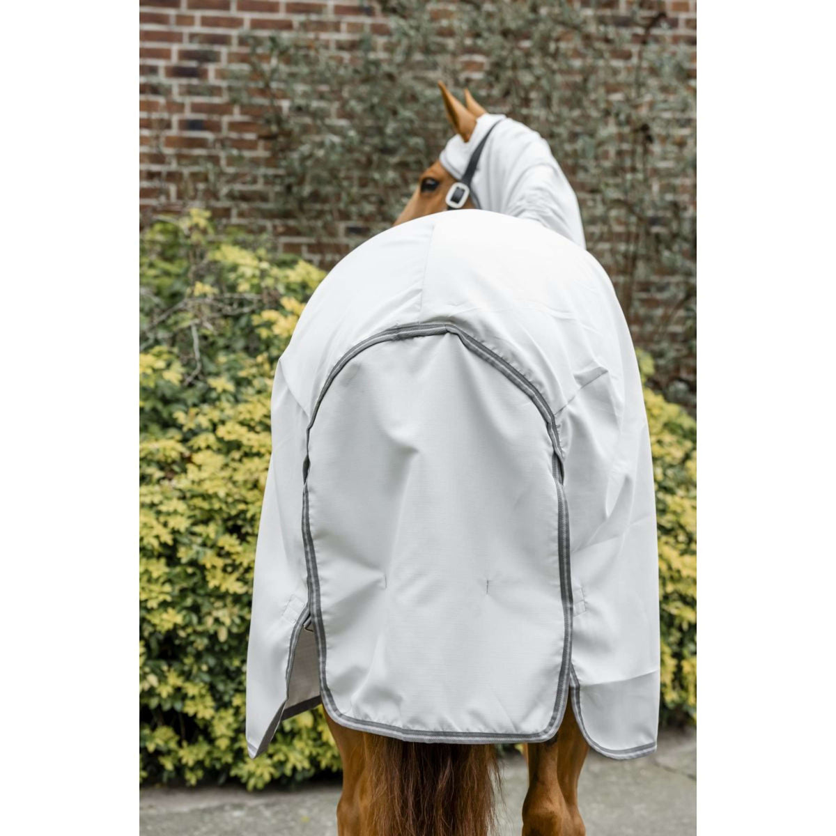 Amigo Ripstop Hoody Ripstop Plata/Gris Titanio/Plata