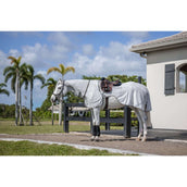 Amigo Flyrider Plata/Gris Titanio/Plata