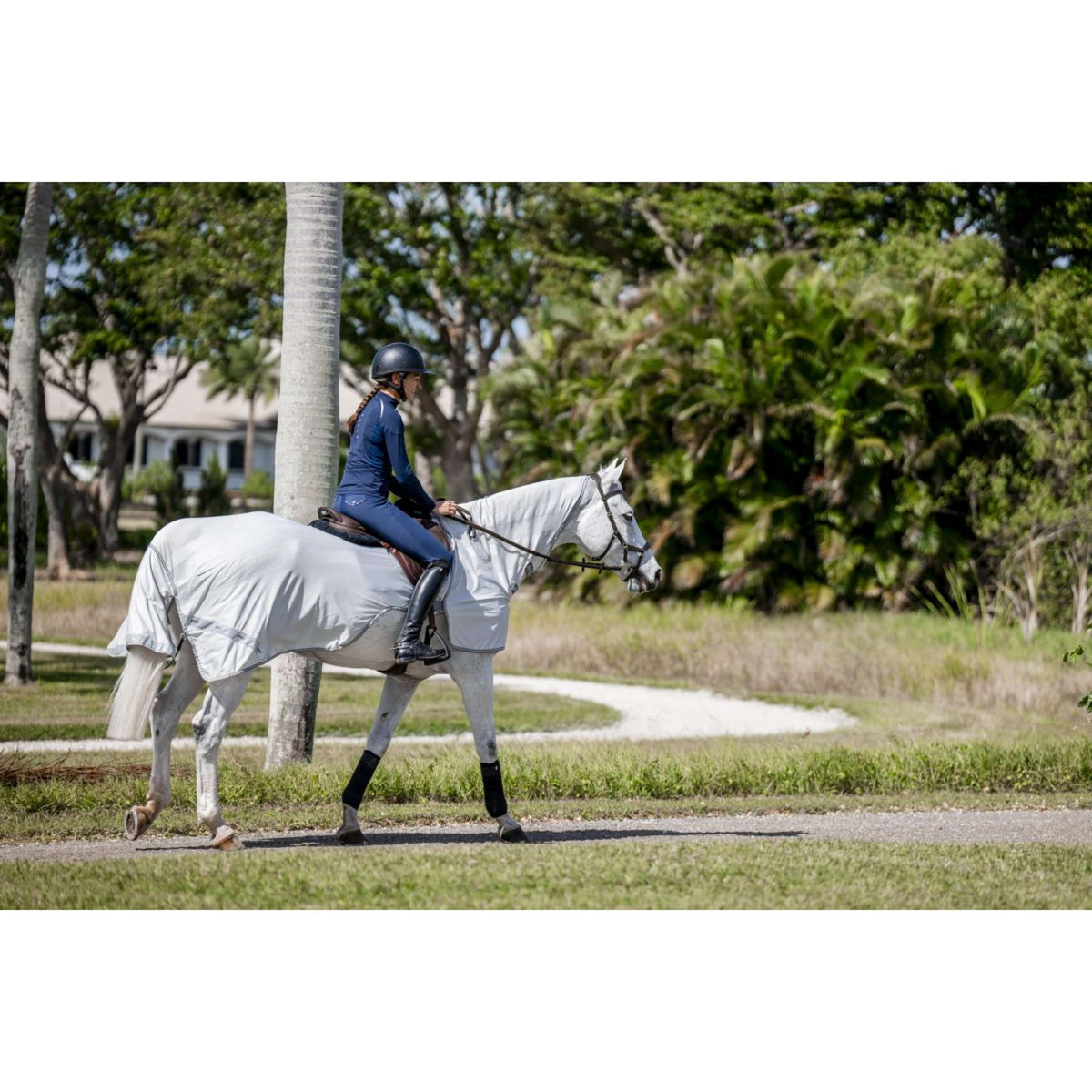 Amigo Flyrider Plata/Gris Titanio/Plata