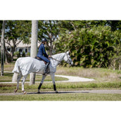 Amigo Flyrider Plata/Gris Titanio/Plata