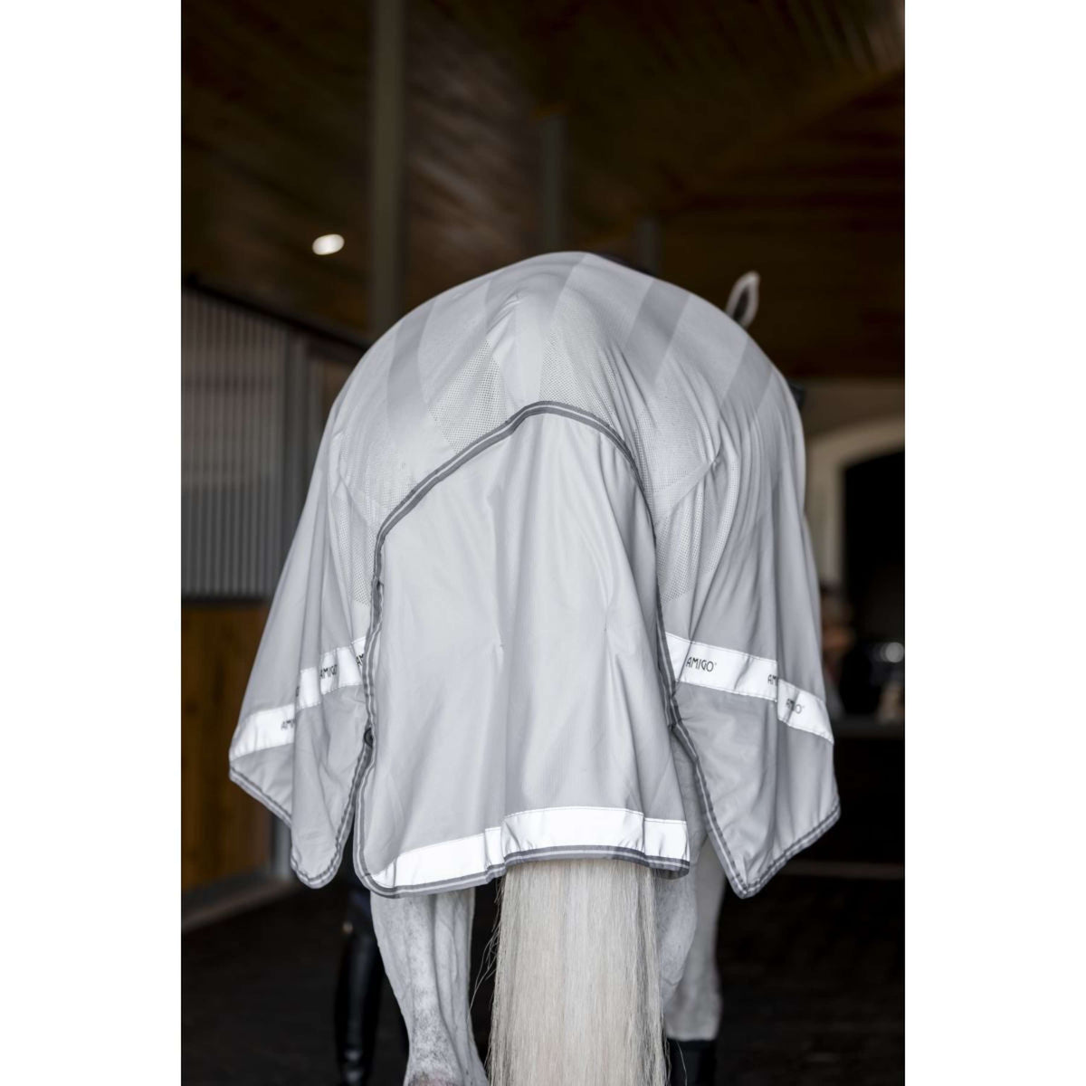 Amigo Flyrider Plata/Gris Titanio/Plata