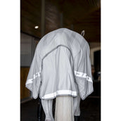 Amigo Flyrider Plata/Gris Titanio/Plata