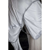 Amigo Flyrider Plata/Gris Titanio/Plata