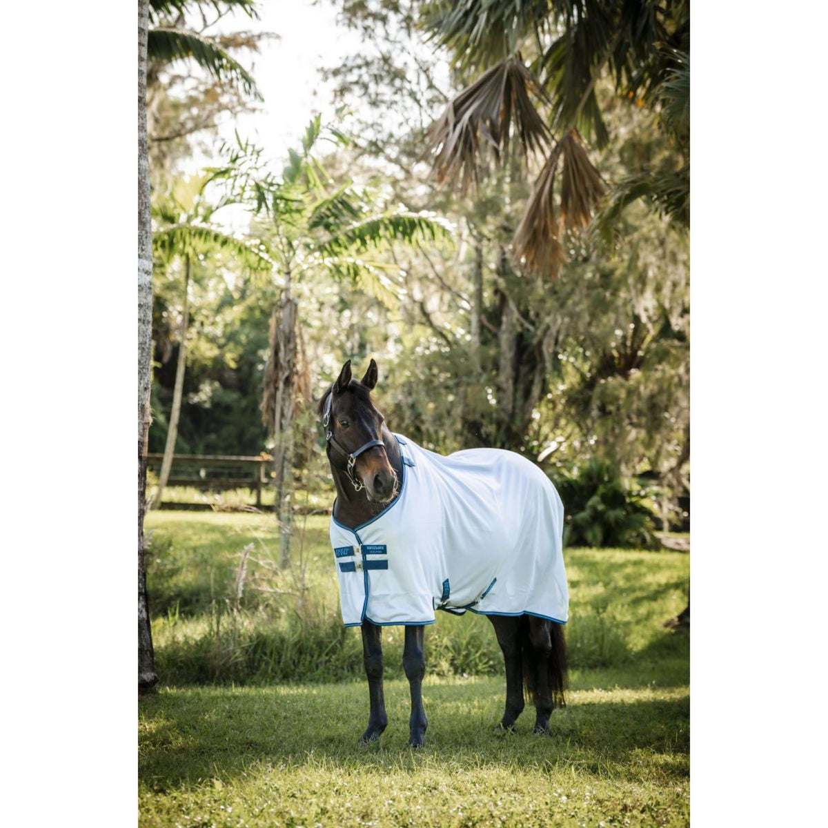 Amigo Bug Rug Azure Blue/Navy/Electric Blue