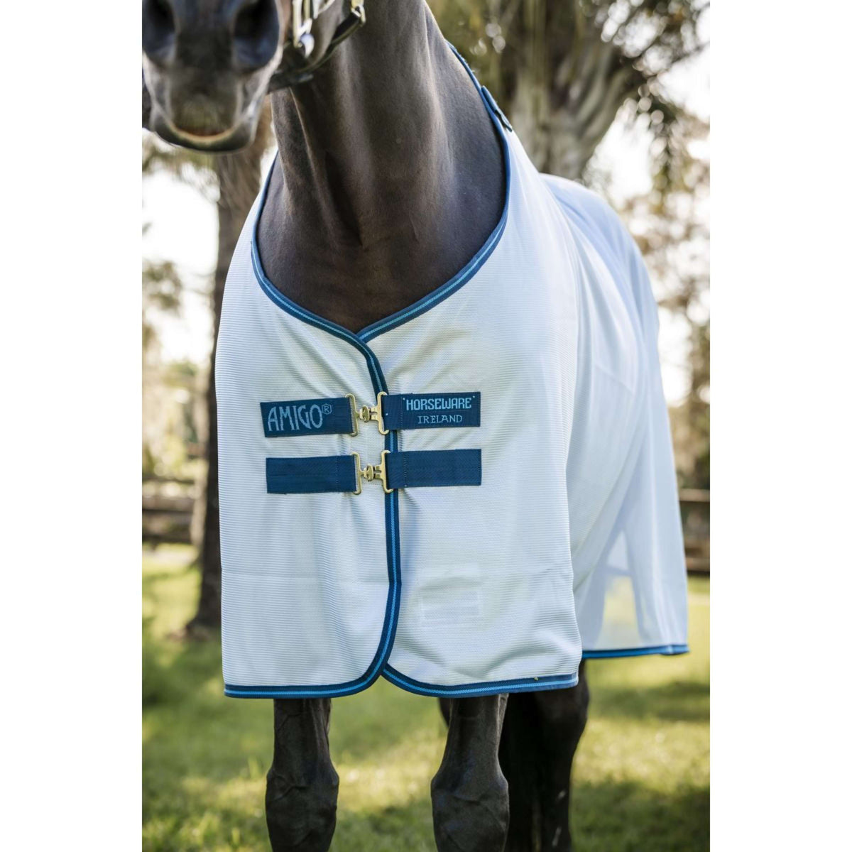 Amigo Bug Rug Azure Blue/Navy/Electric Blue