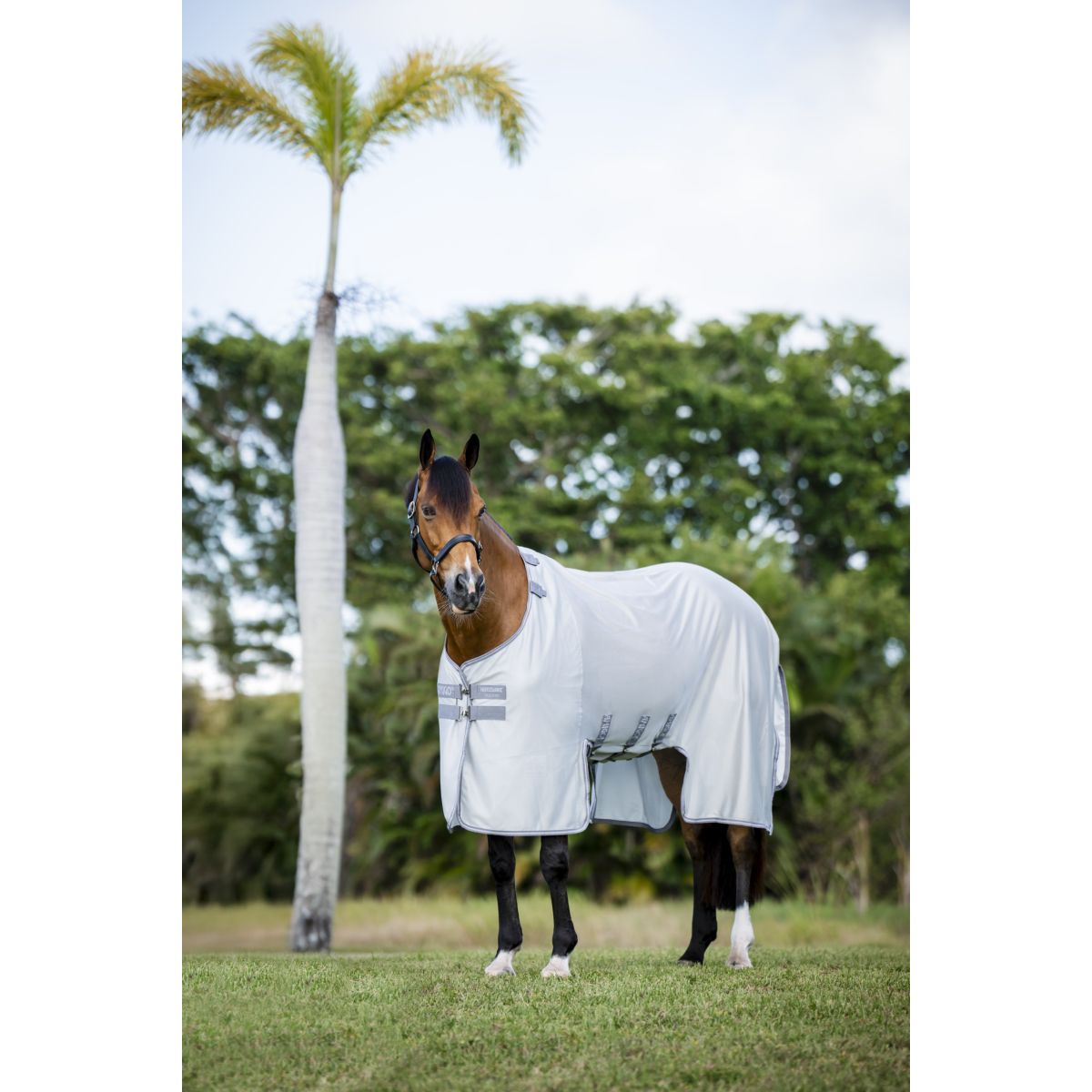 Amigo Bug Buster Plata/Gris Titanio/Plata