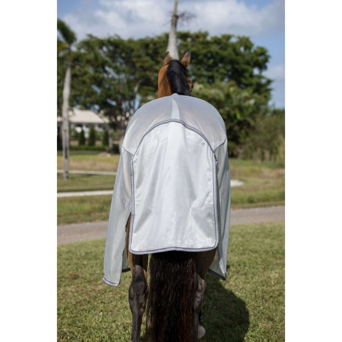 Amigo Bug Buster Plata/Gris Titanio/Plata