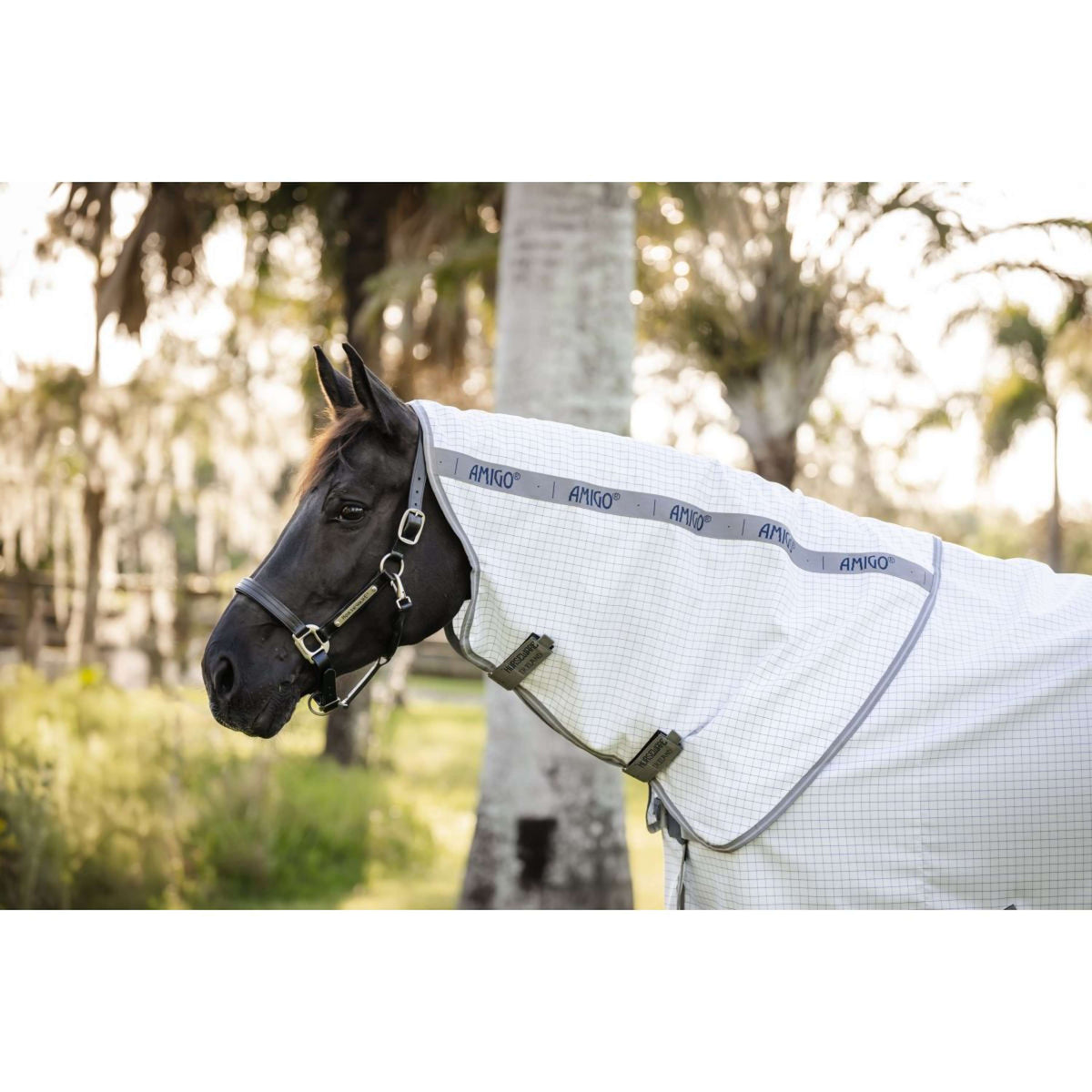 Amigo Summer Sheet Plus Azul marino a cuadros/Gris titanio/Plata