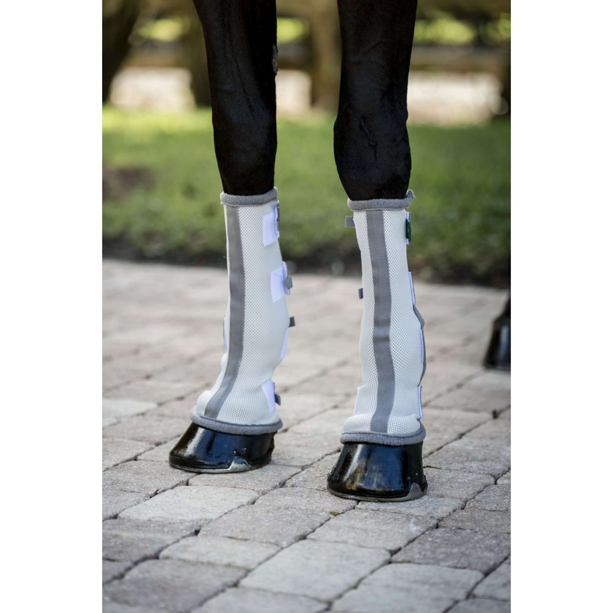 Horseware Fly Boots Set of 2 Plata/Gris Titanio/Plata