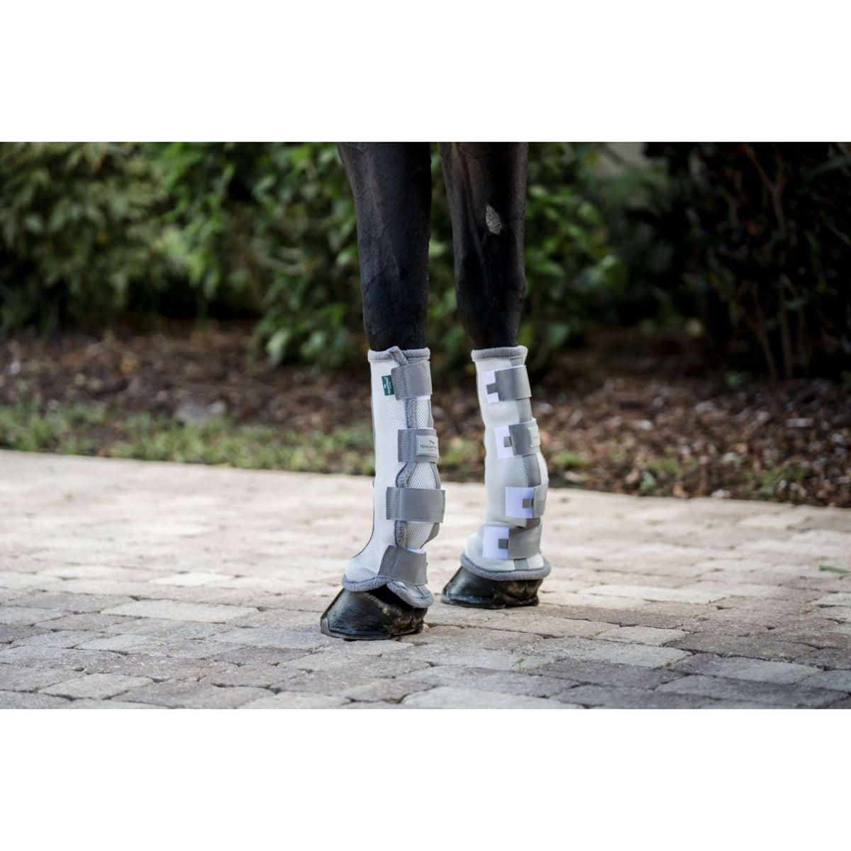 Horseware Fly Boots Set of 2 Plata/Gris Titanio/Plata