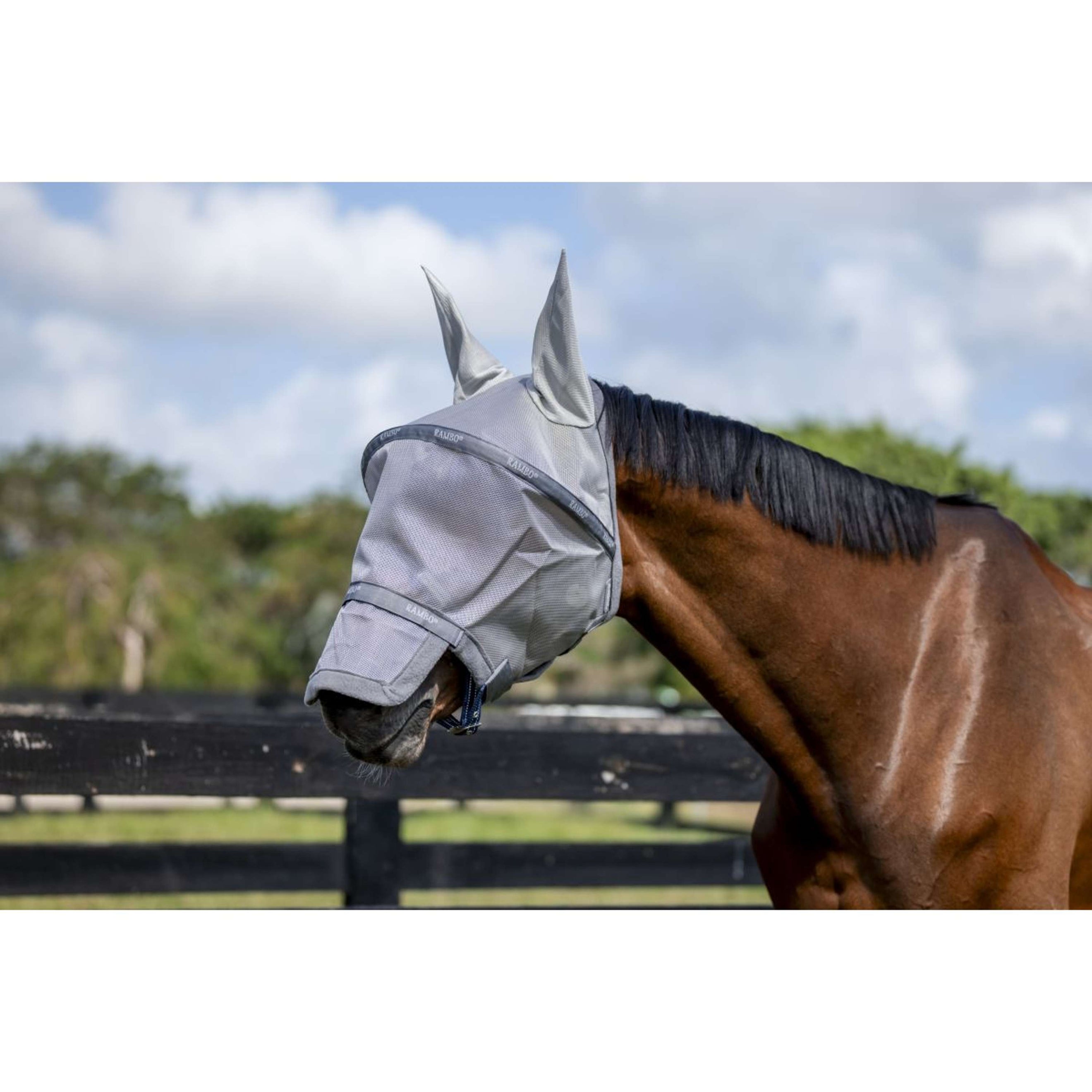 Rambo Fly Mask Plata/Gris Titanio/Plata