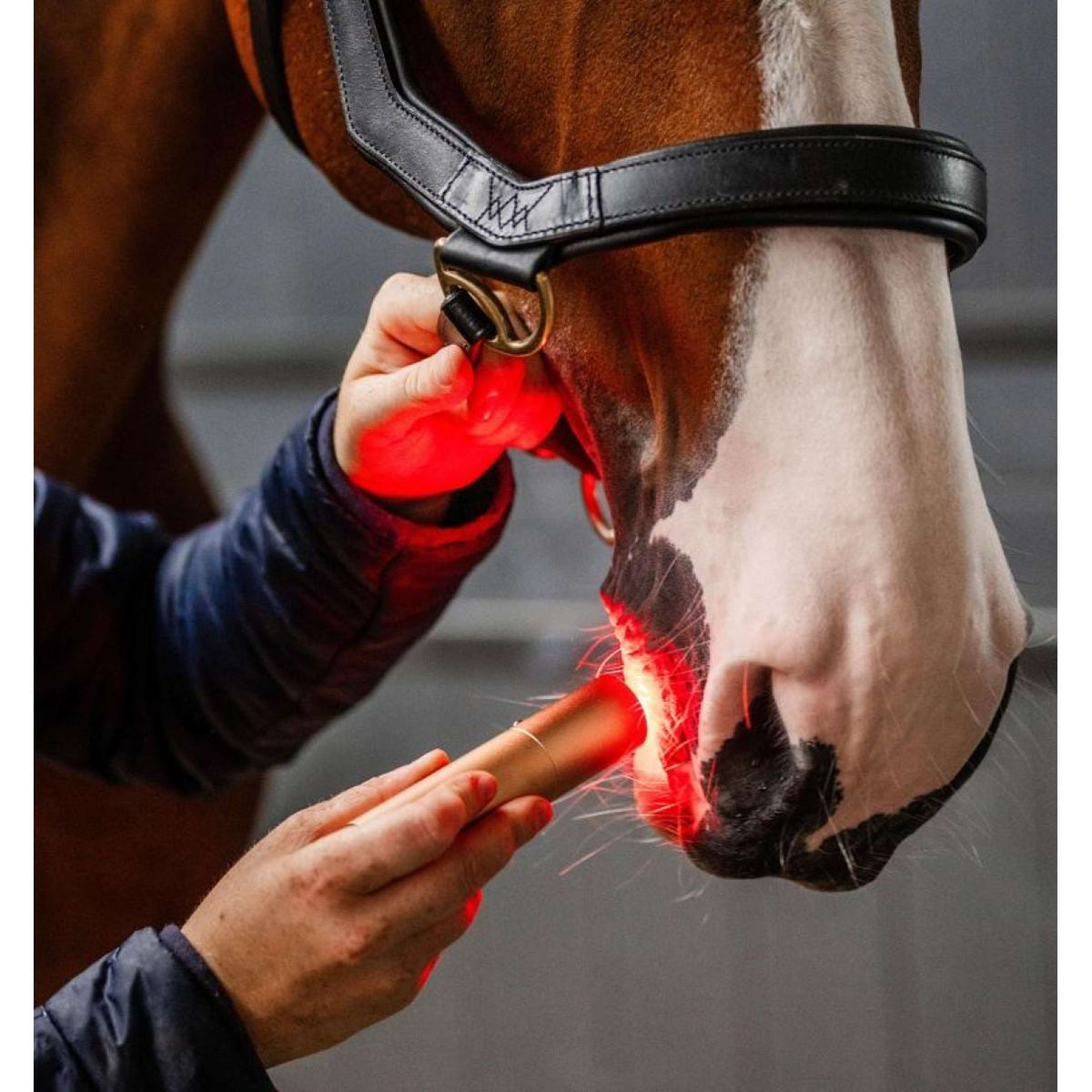 Horseware LED Red Light Therapy Varita mágica Negro
