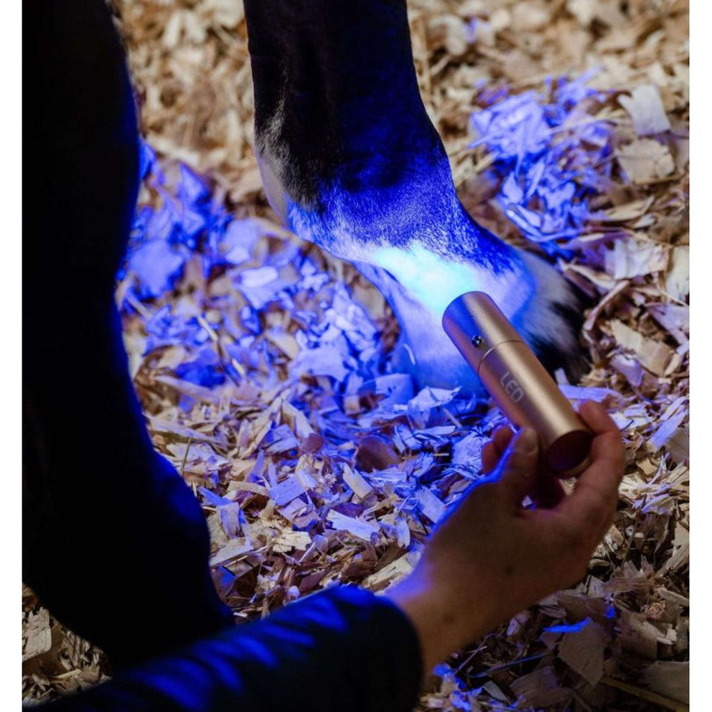 Horseware LED Red Light Therapy Varita mágica Negro
