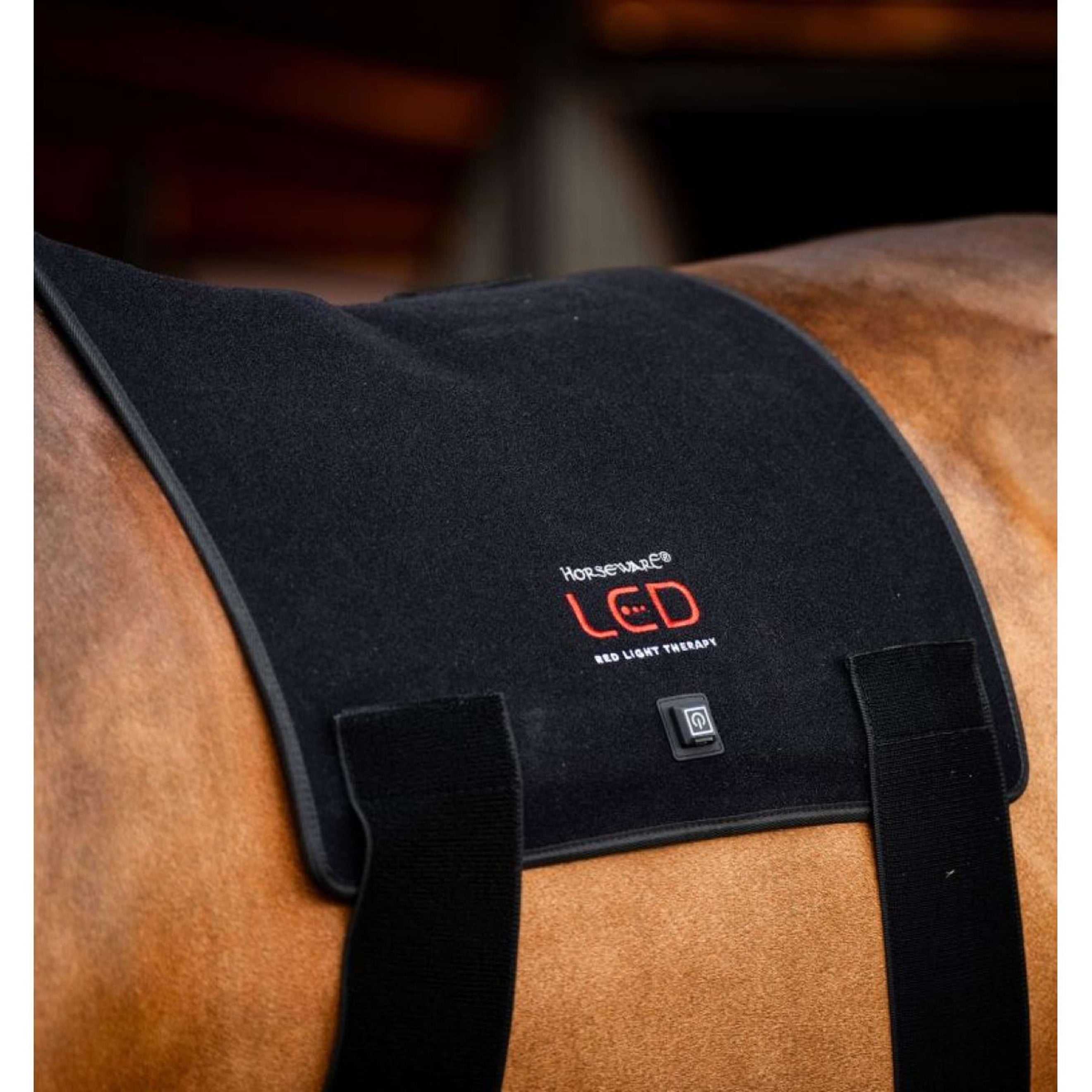 Horseware LED Red Light Therapy Pad Negro