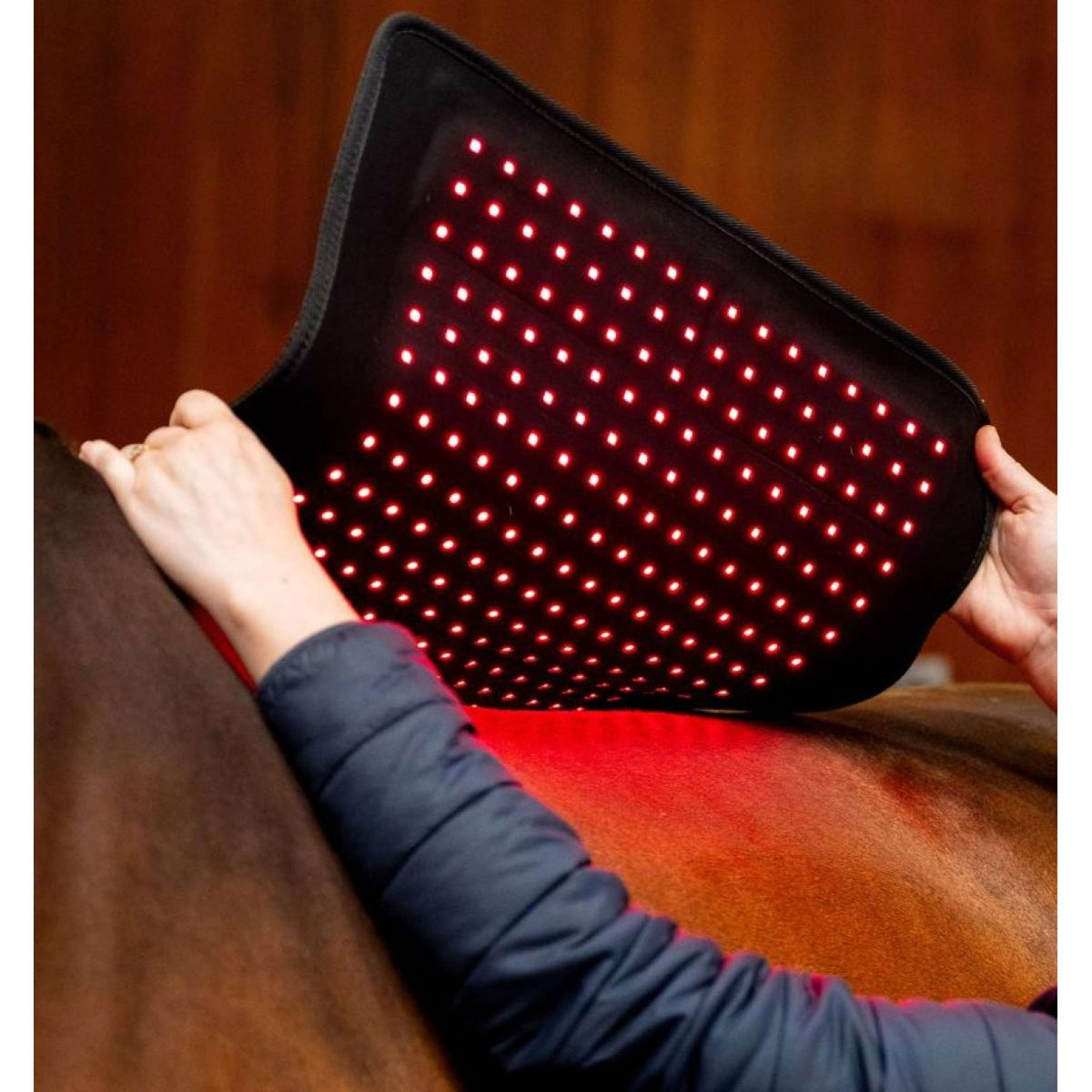 Horseware LED Red Light Therapy Pad Negro