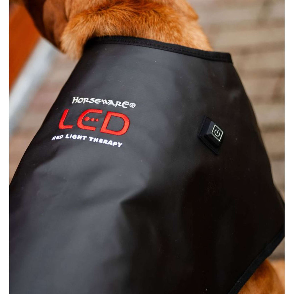 Horseware LED Red Light Therapy Mantas Negro