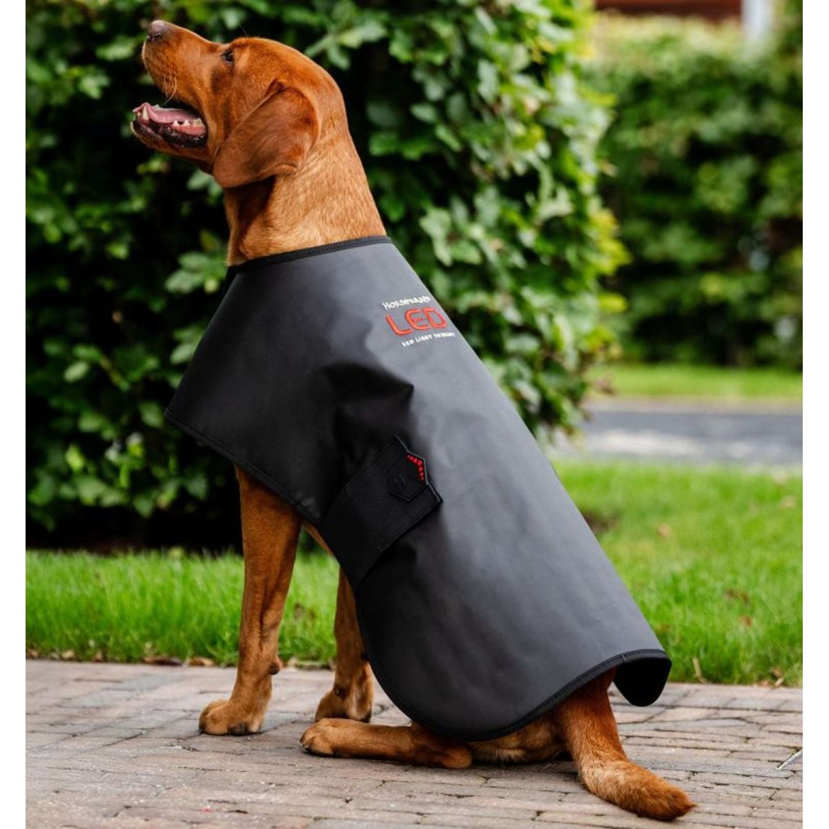 Horseware LED Red Light Therapy Mantas Negro Horseware LED Red Light Therapy Mantas Negro