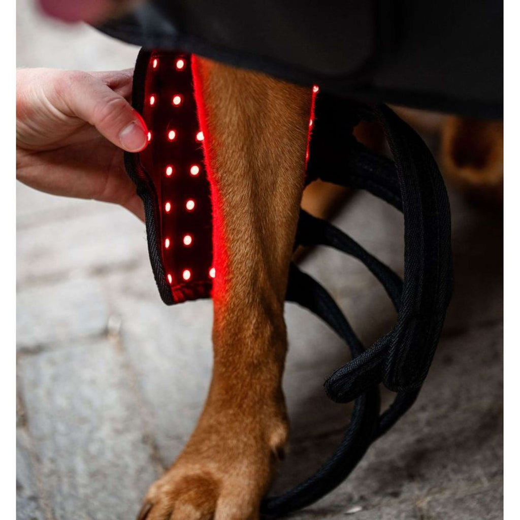Horseware LED Red Light Therapy Pet Leg Wrap Negro