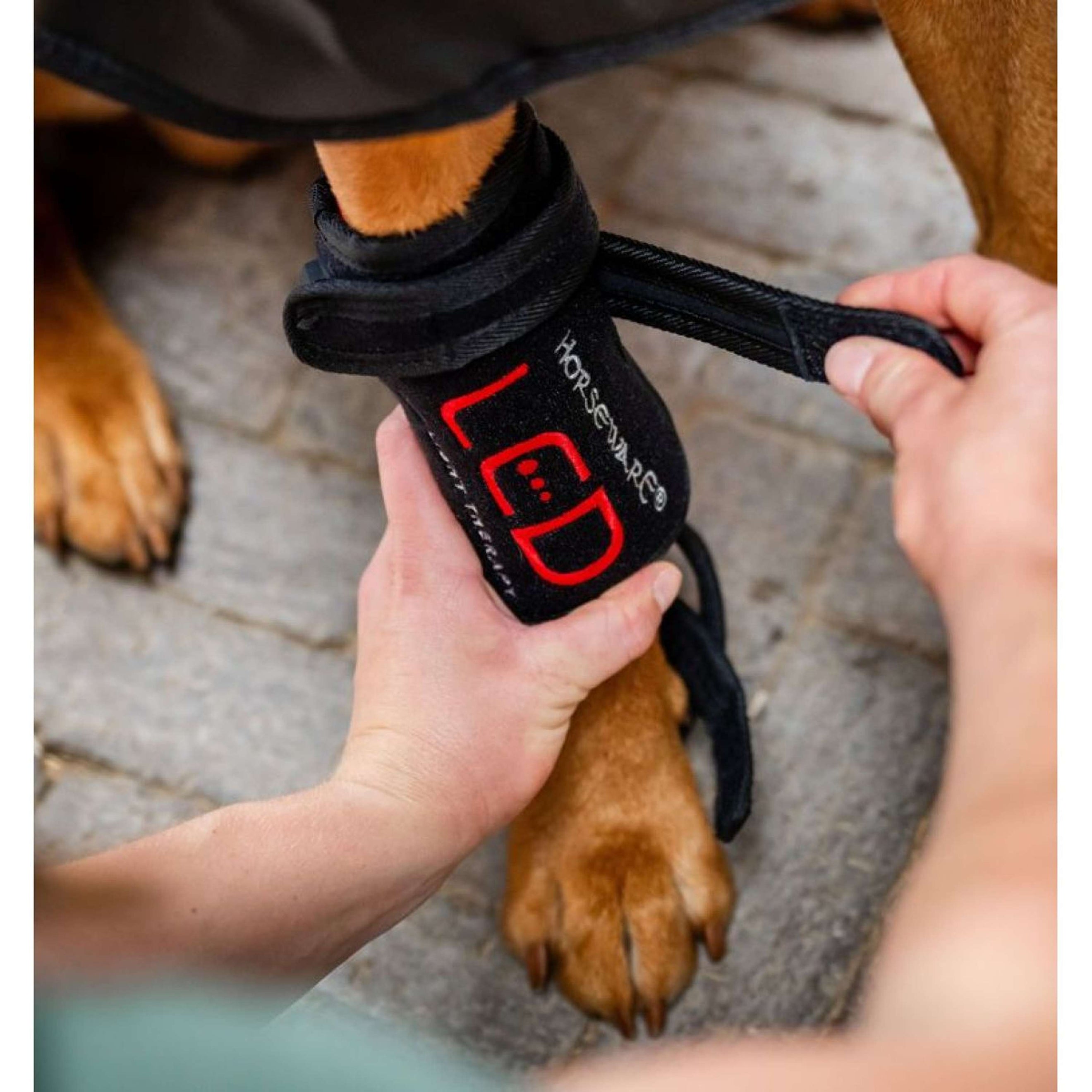 Horseware LED Red Light Therapy Pet Leg Wrap Negro