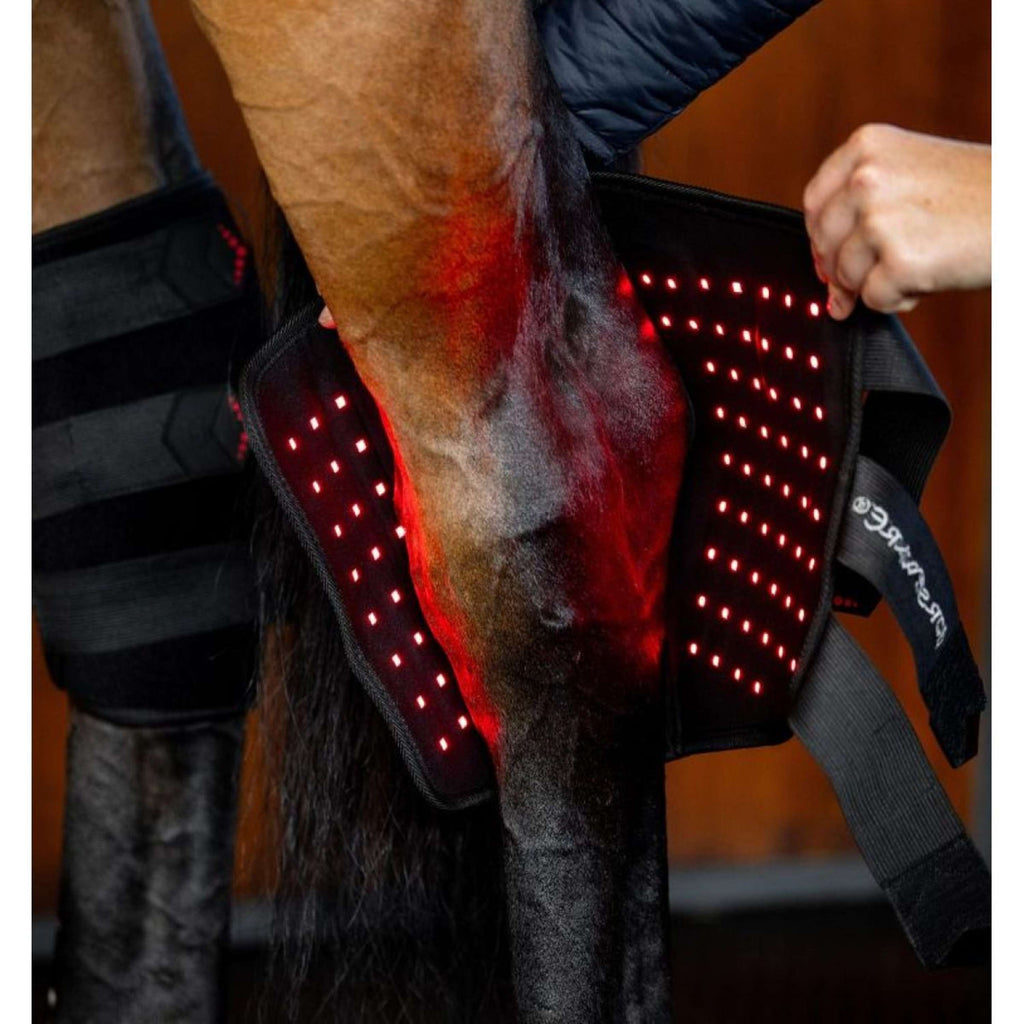 Horseware LED Red Light Therapy Left Hock Boot Negro