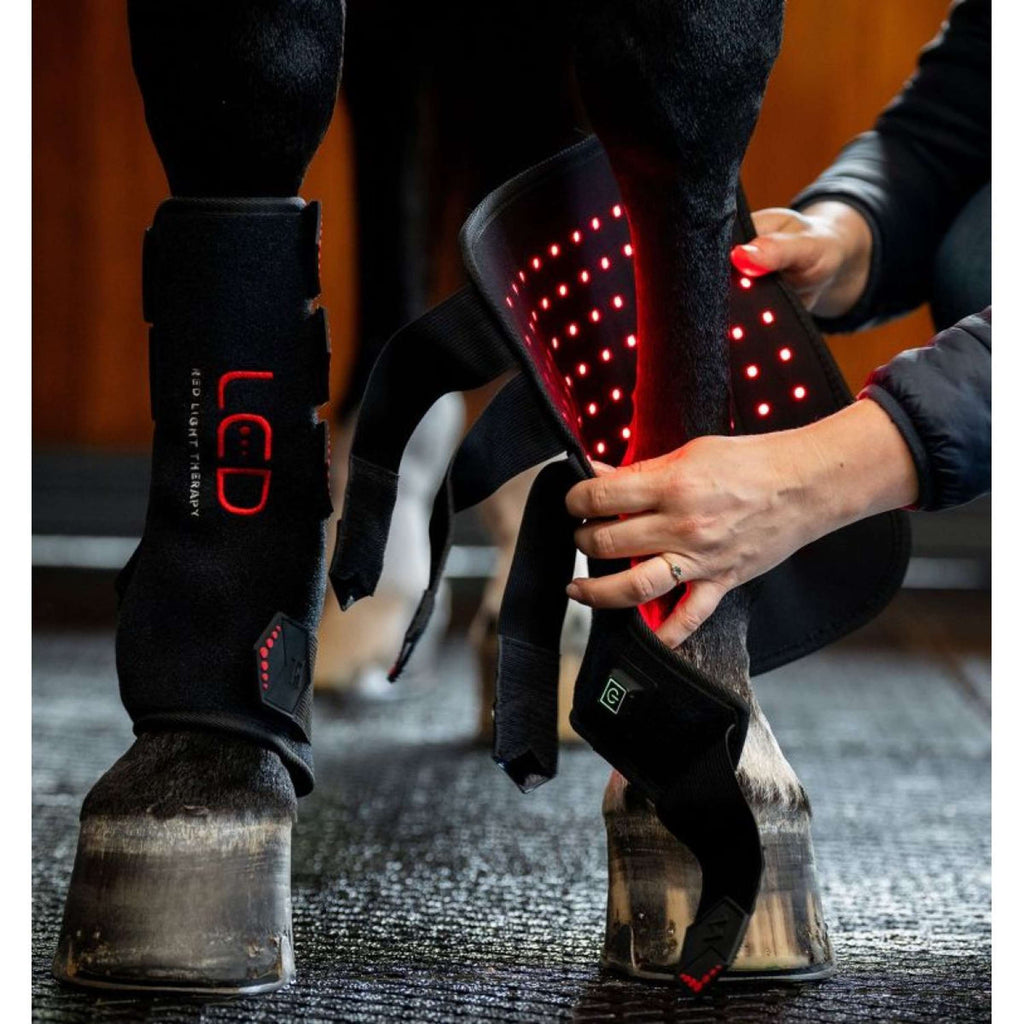 Horseware LED Red Light Therapy Right Leg Wrap Negro