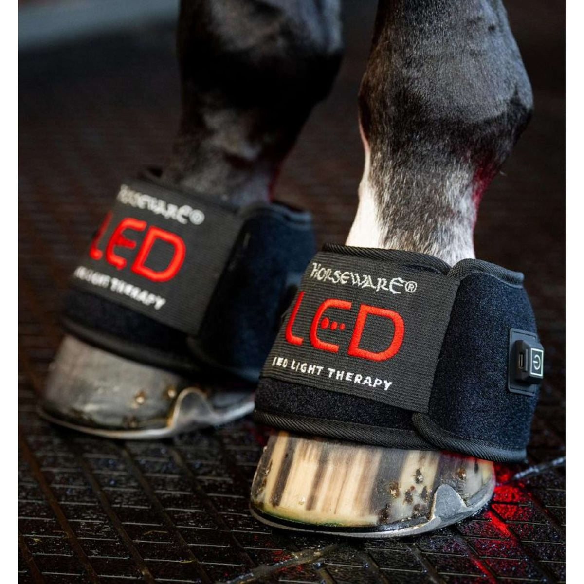Horseware LED Red Light Therapy Mini Wrap Negro
