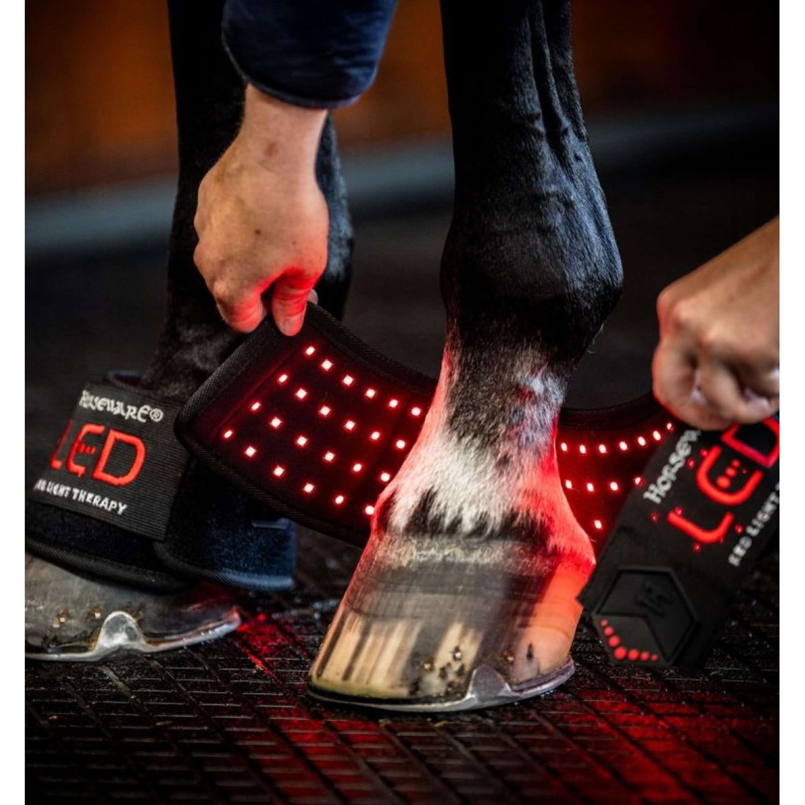 Horseware LED Red Light Therapy Mini Wrap Negro Horseware LED Red Light Therapy Mini Wrap Negro