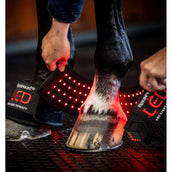 Horseware LED Red Light Therapy Mini Wrap Negro