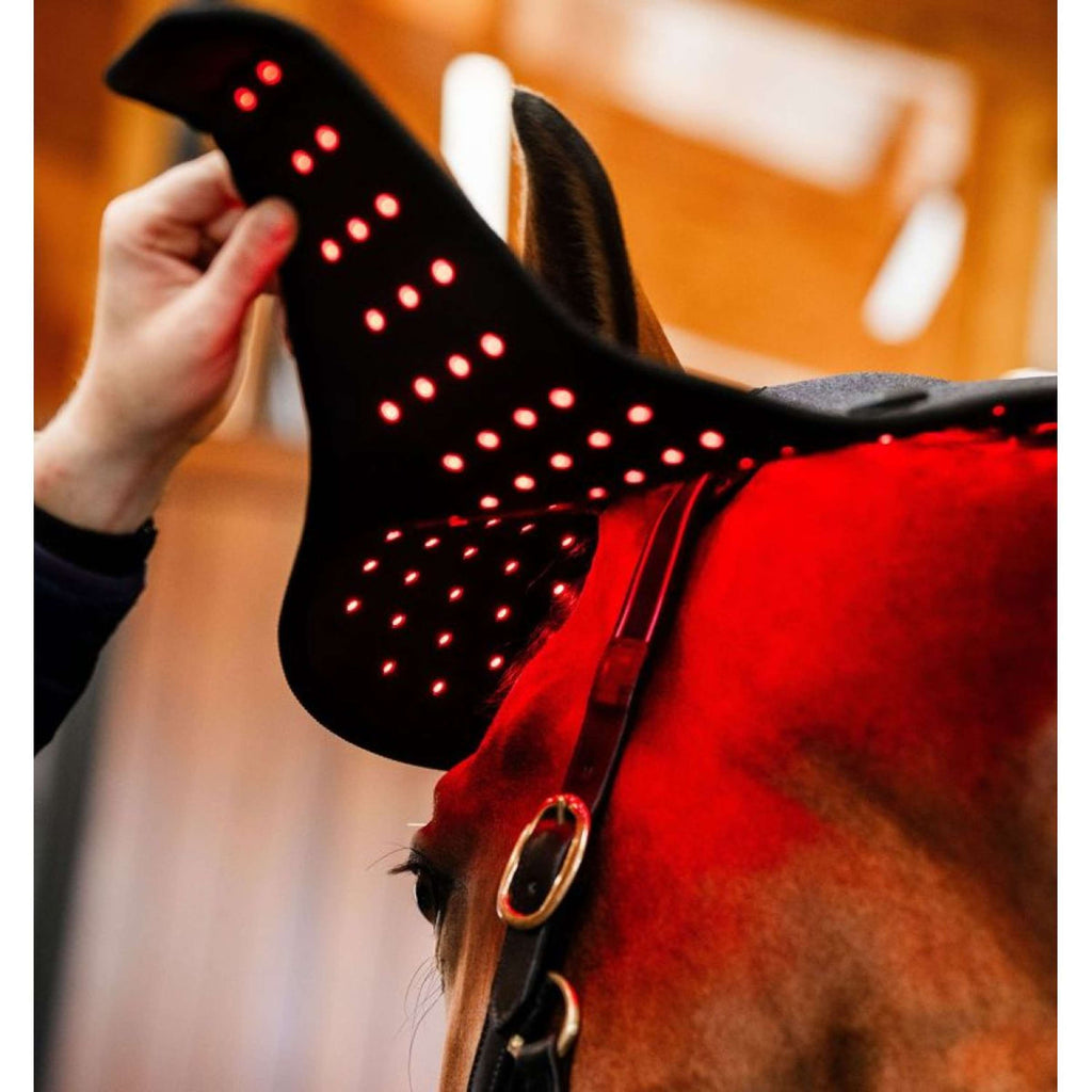 Horseware LED Red Light Therapy Poll Cap Negro