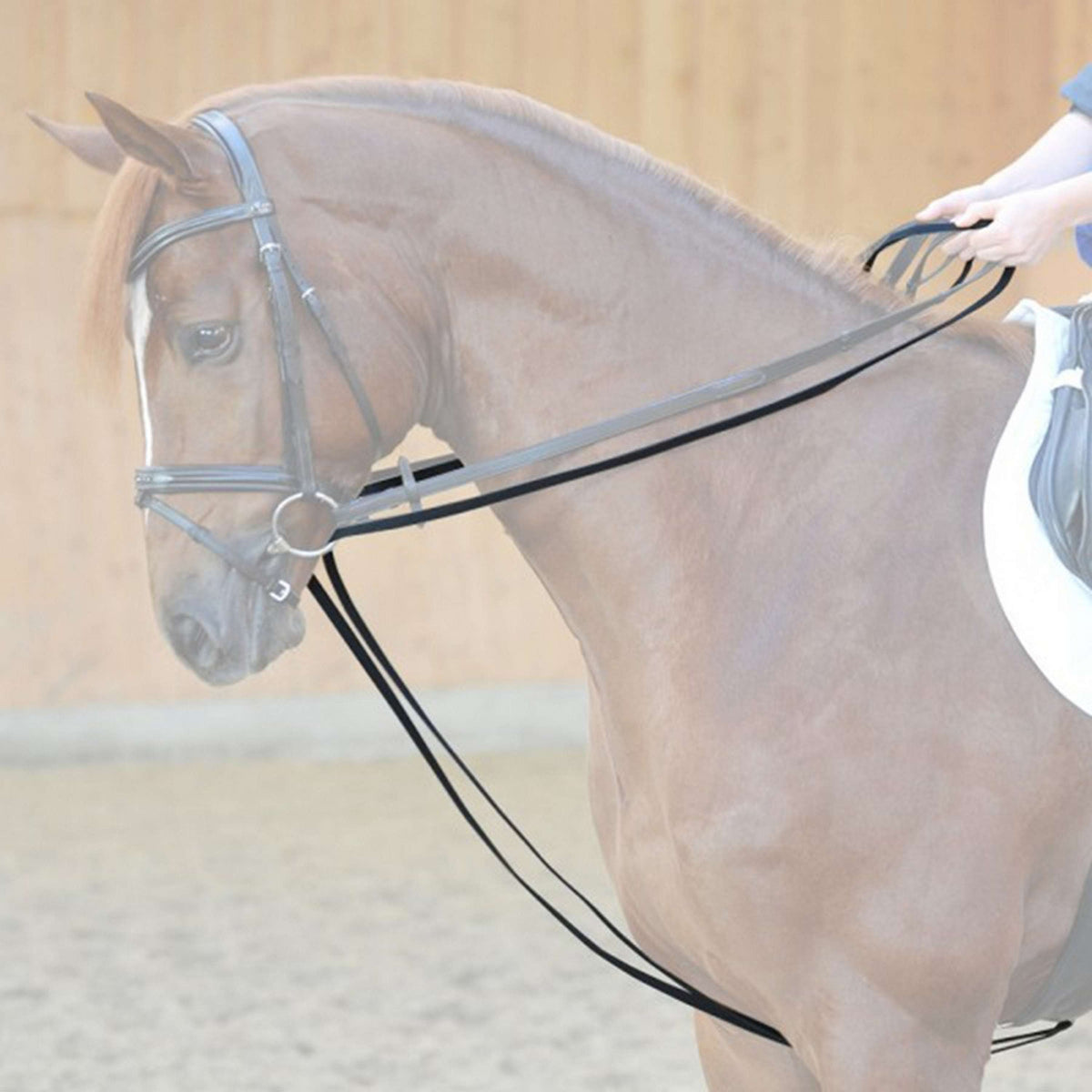 Kavalkade Riendas de Gogue Leder Negro