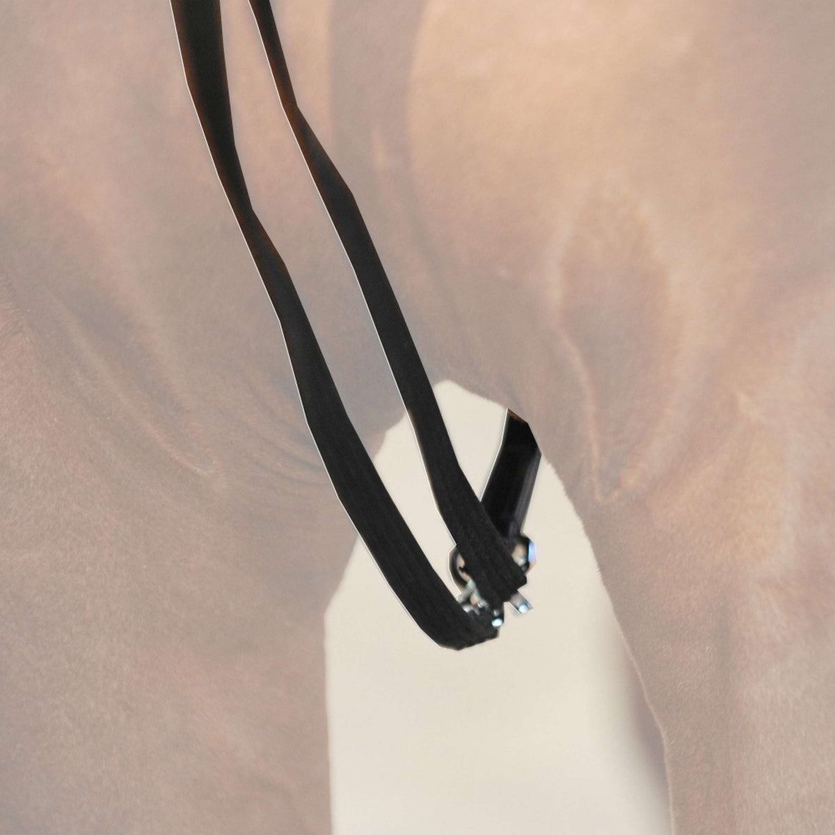 Kavalkade Riendas de Gogue Negro