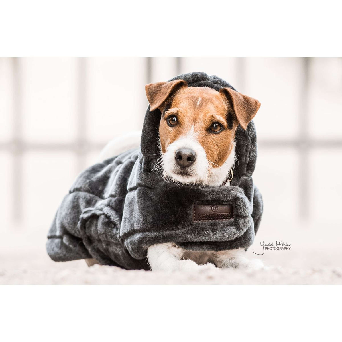 Kentucky Dogwear Dog Rug Fake Fur Gris