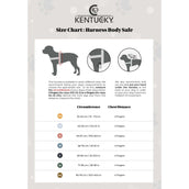 Kentucky Dogwear Arnés Body Safe Español (ES): Lana Azul claro