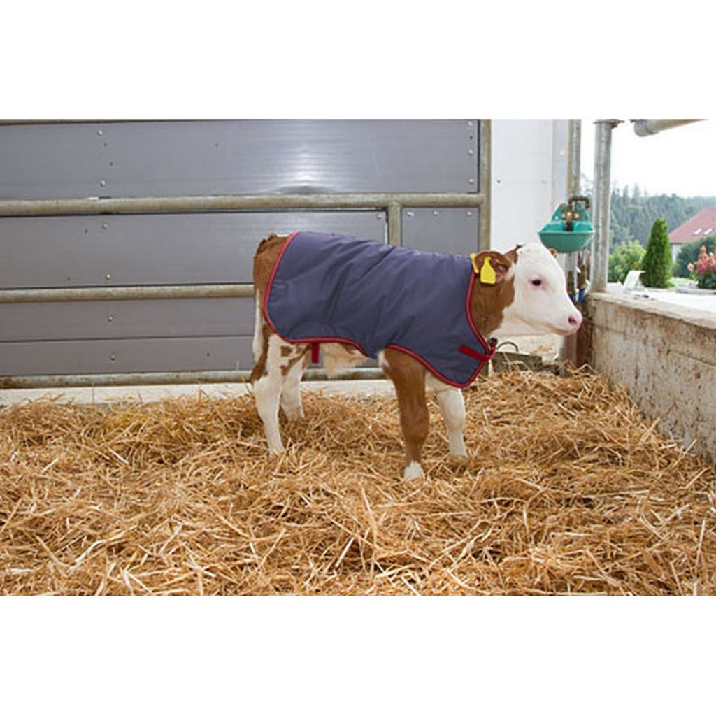 Kerbl Manta para Terneros Thermoplus