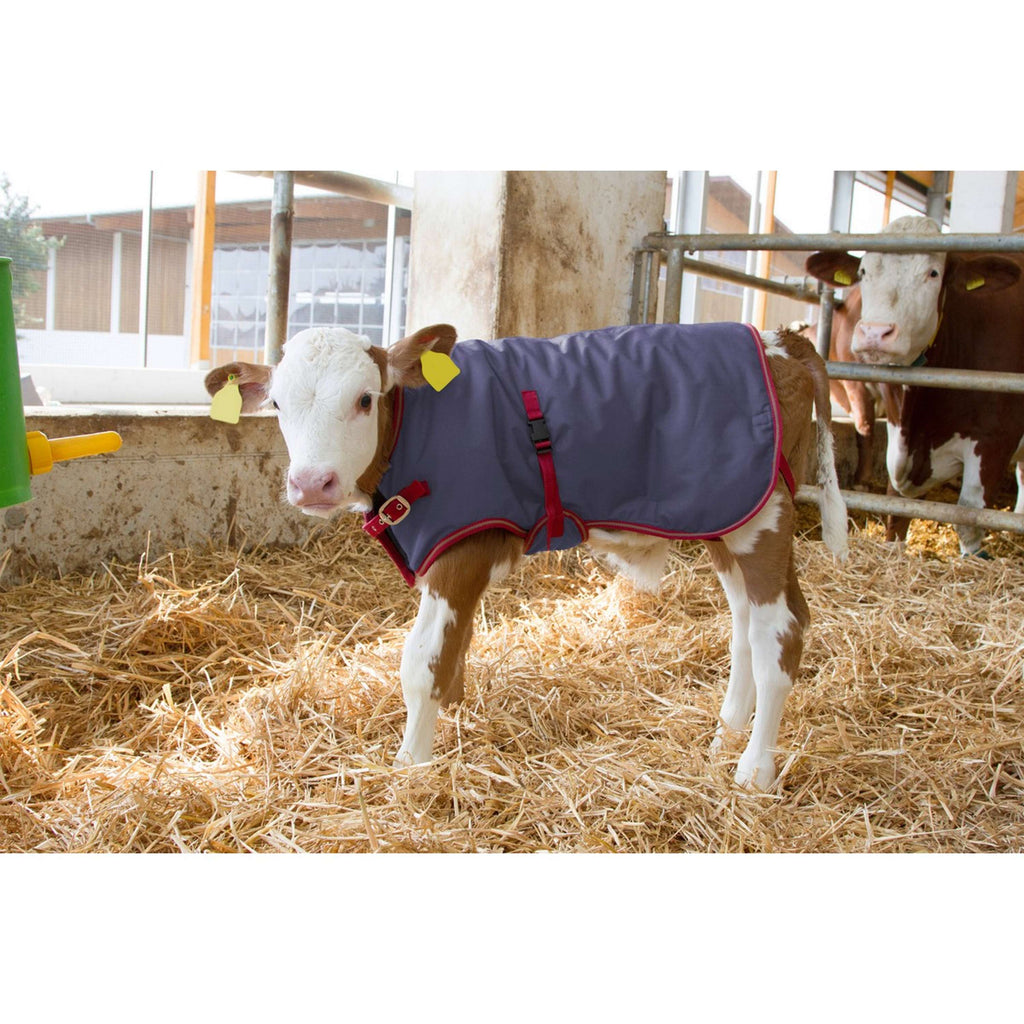 Kerbl Manta para Terneros Thermoplus